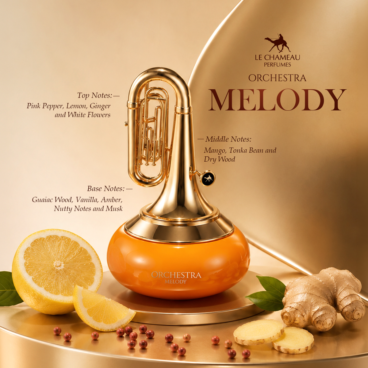 Orchestra Melody