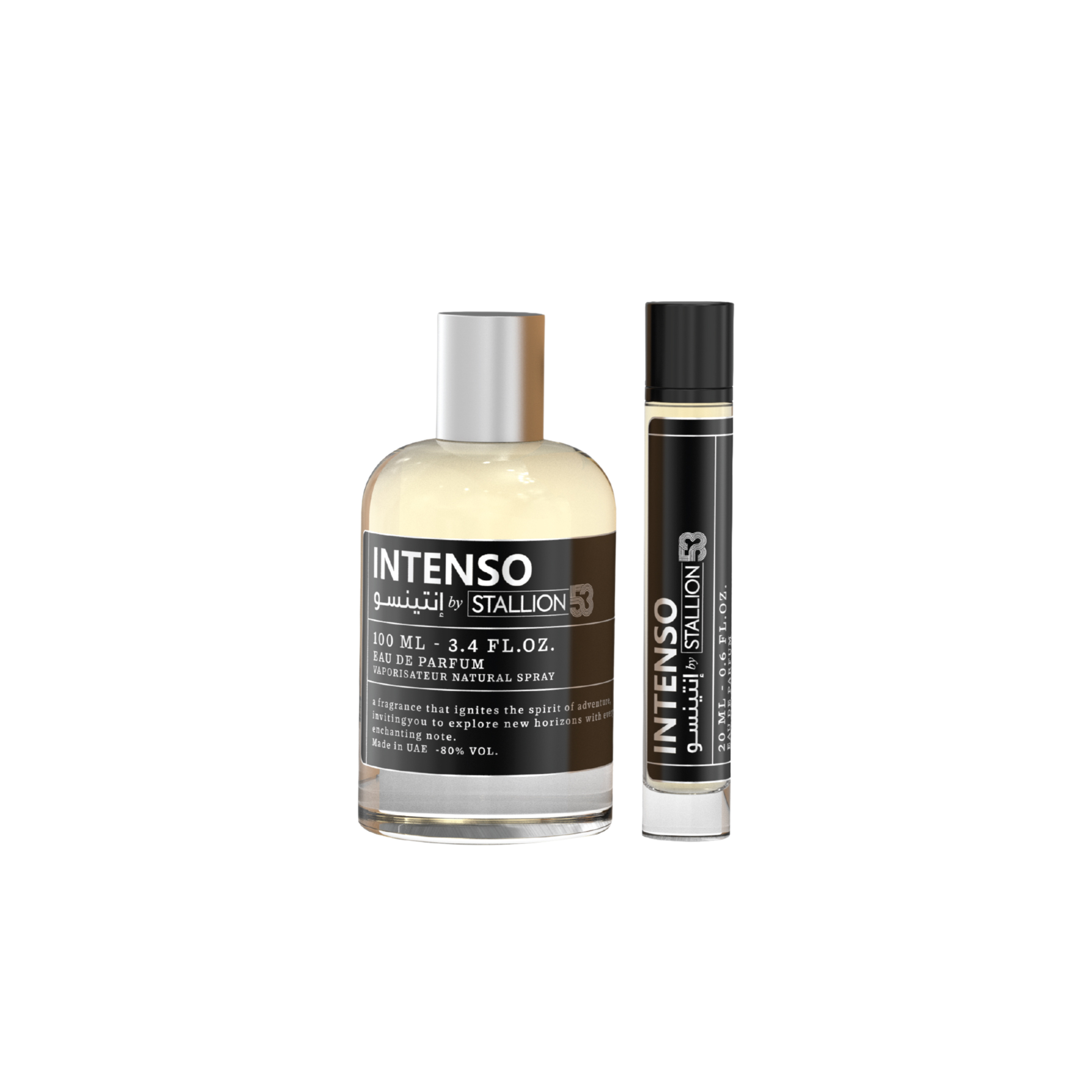 Intenso By Stallion 53