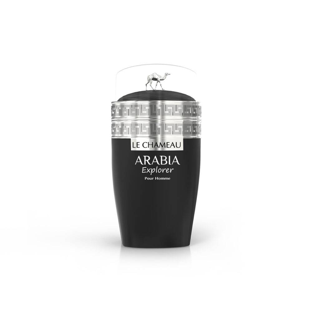 Arabia Explorer - Image 2